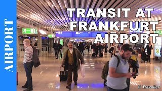 TRANSIT WALK AT FRANKFURT Airport FRA Terminal 1  Connection Flight Transfer Arriving amp Departing [upl. by Narda]